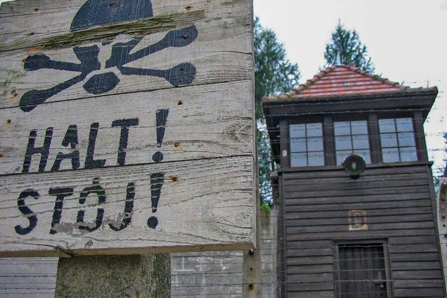 From Krakow: Auschwitz-Birkenau Private or Shared Tour - Who this fits best in real terms