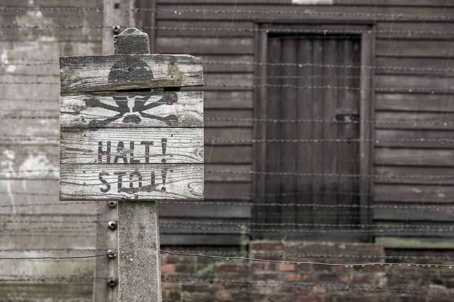 From Krakow: Auschwitz-Birkenau & Schindler's Factory Tour - The bus ride documentary: why it matters before you arrive