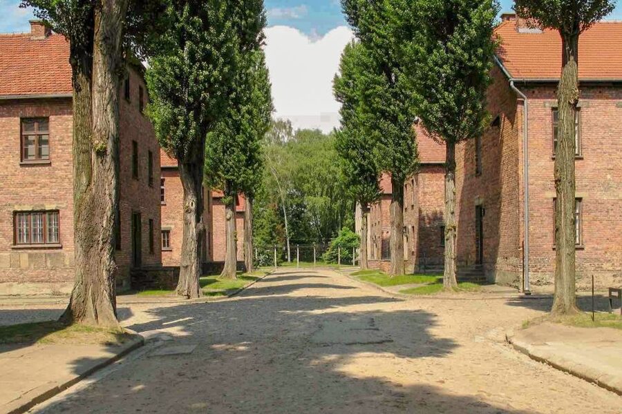 From Krakow: Auschwitz-Birkenau & Schindler's Factory Tour - Podgórze break time: use it to reset, not to stress