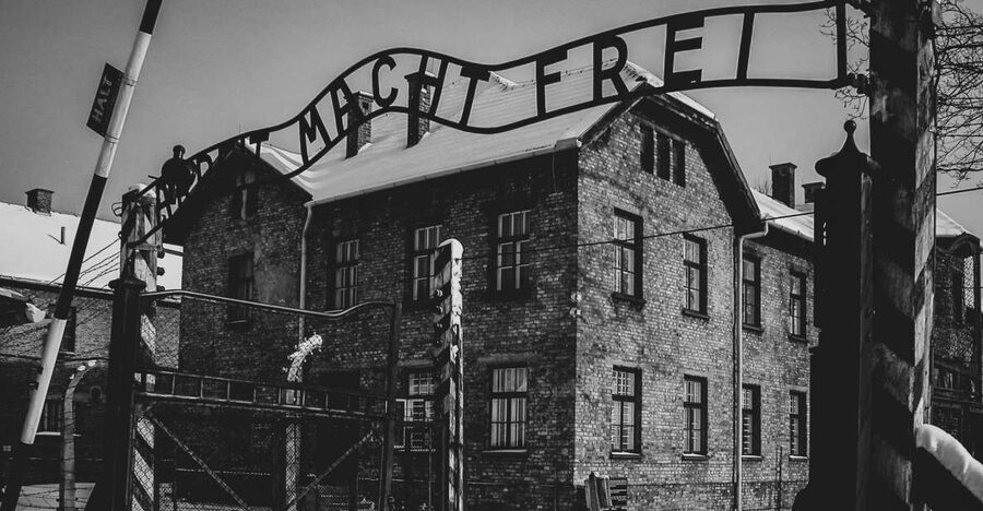 From Krakow: Auschwitz Birkenau Self-Guided Tour - Quick hits before you go