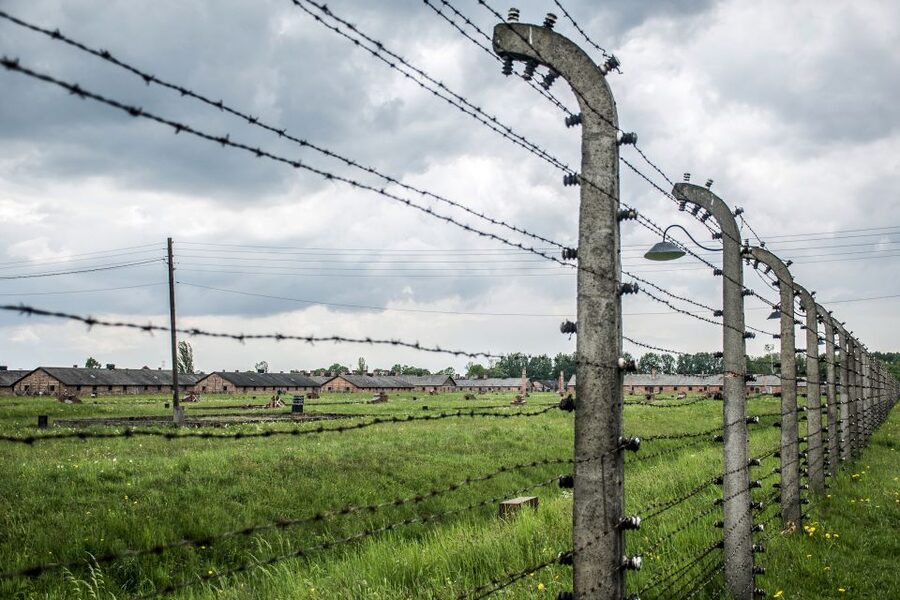 From Krakow: Auschwitz Birkenau Self-Guided Tour - Timing realities and weather: small logistics that can matter