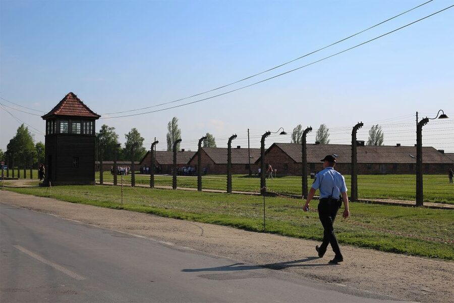 From Krakow: Auschwitz Birkenau Small Group Tour with Pickup - Lines, Timing, and the Reality of Waiting at the Museum