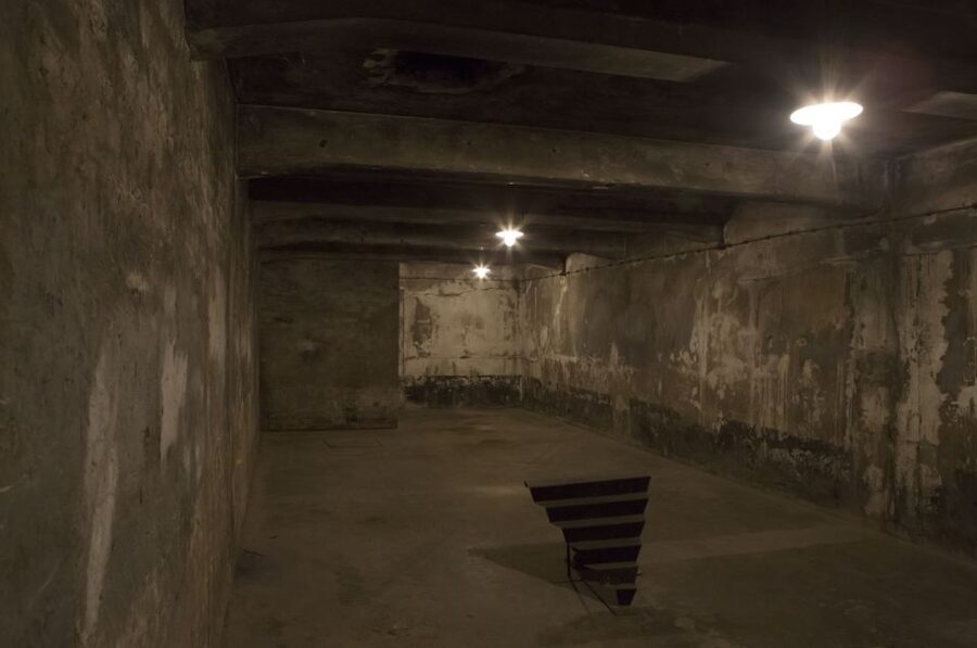 From Krakow: Auschwitz-Birkenau Tour - Key things that make this Auschwitz tour work