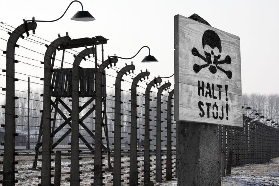 From Krakow: Auschwitz-Birkenau Tour - Transport, skip-the-line tickets, and value for money from Krakow