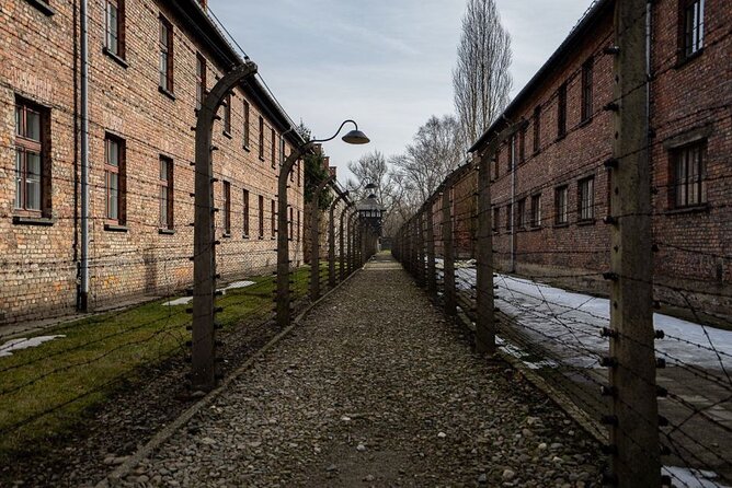 From Kraków: Auschwitz-Birkenau Tour with Lunch Box and Pick Up - Price and value for a 7-hour, two-site day from Krakow