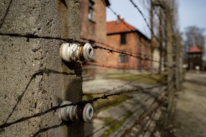 From Kraków: Auschwitz-Birkenau Tour with Lunch Box and Pick Up - Auschwitz II Birkenau: where the scale hits you
