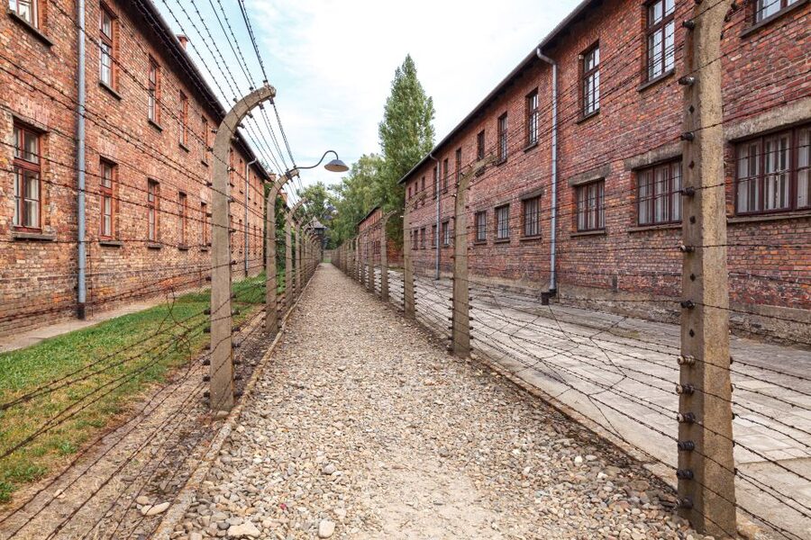 From Krakow: Auschwitz Birkenau Tour with Transfer - Pickup, coach ride, and the timing you should plan around