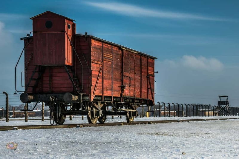 From Krakow: Auschwitz-Birkenau Tour with Transportation - Getting to Oświęcim: the bus ride and the meeting point that matter
