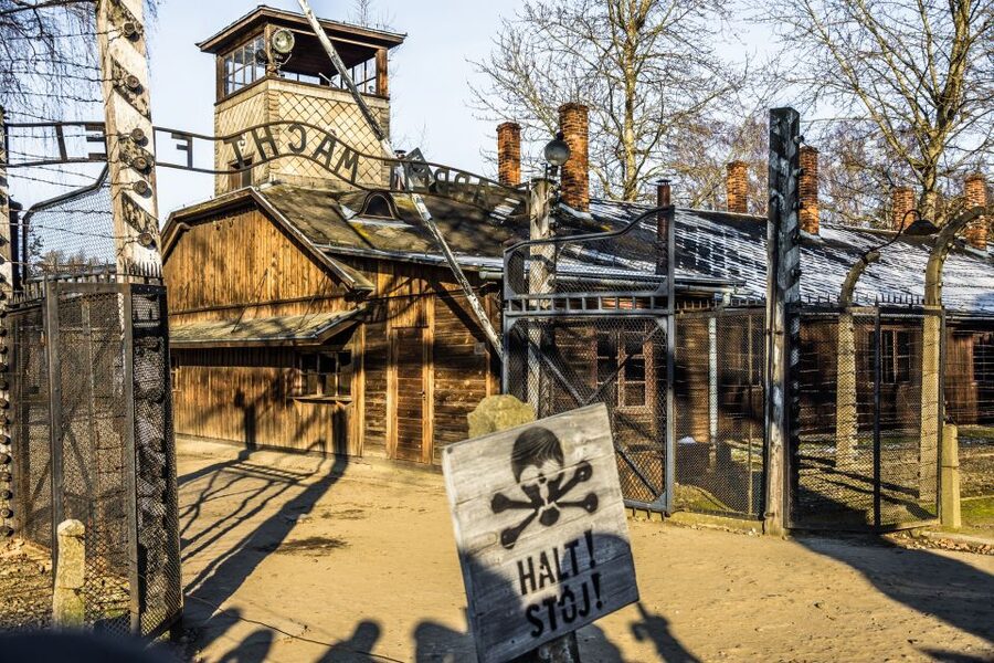 From Krakow: Auschwitz-Birkenau Tour with Transportation - The built-in break and what to do with it