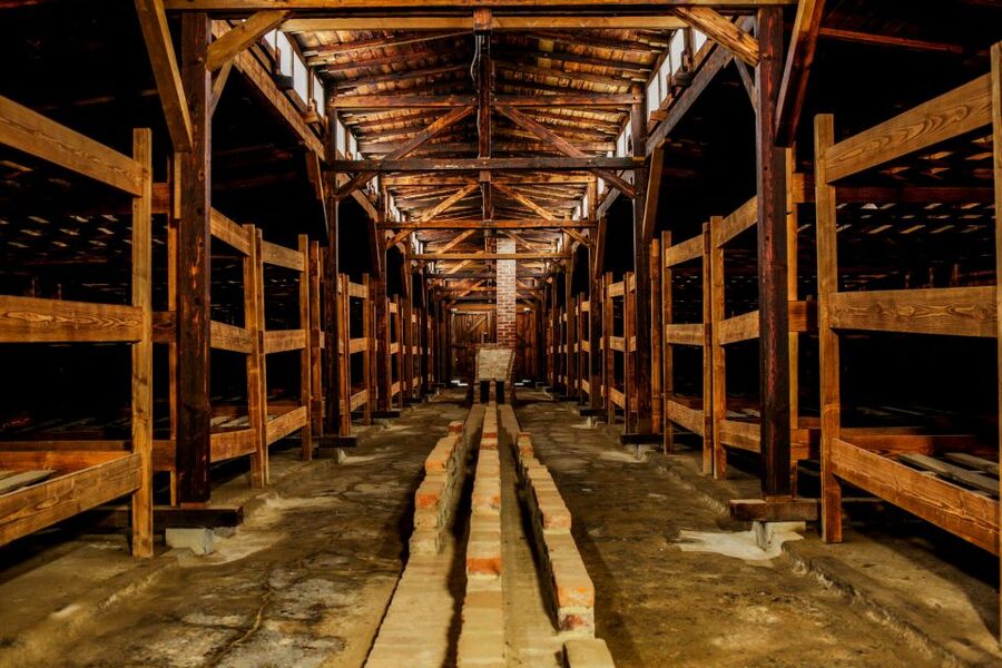 From Krakow: Auschwitz-Birkenau Tour with Transportation - Timing: why your day can start earlier than you expect