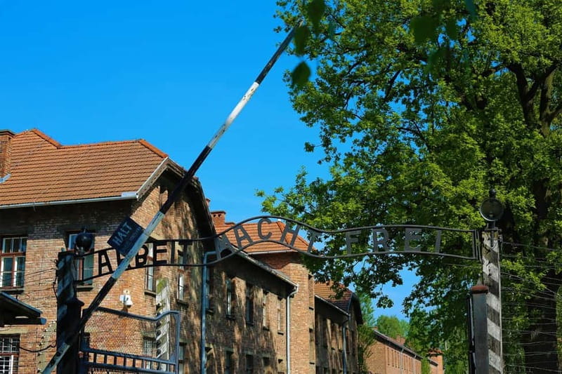 From Krakow: Auschwitz Museum and Wieliczka Salt Mine Tour - Why This Auschwitz and Wieliczka Day Trip Works From Krakow