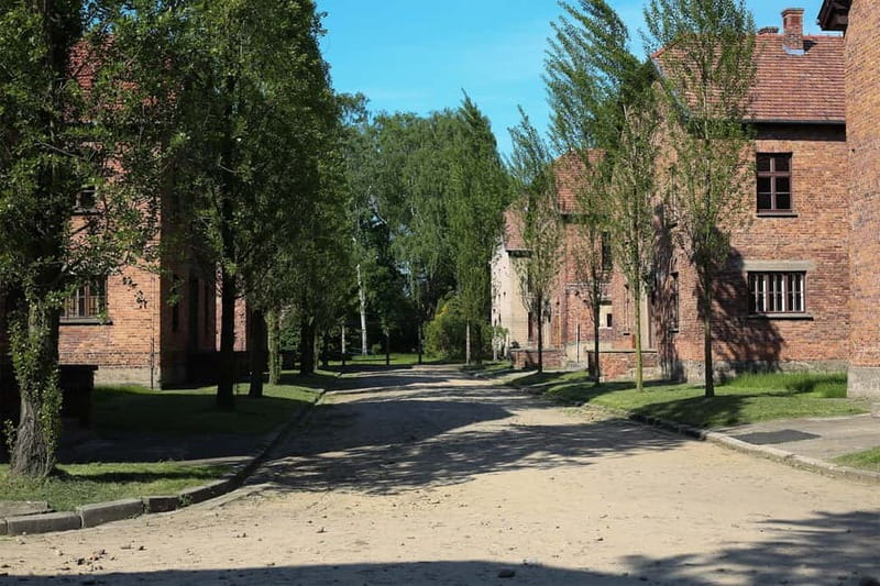 From Krakow: Auschwitz Museum and Wieliczka Salt Mine Tour - Price, Value, and When It Makes Sense to Book Ahead