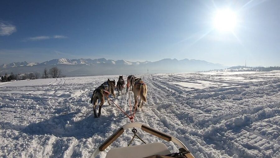 From Krakow: Dogsled Ride in Tatra Mountain - Winter Reality Checks, Snow, Crowds, and Timing