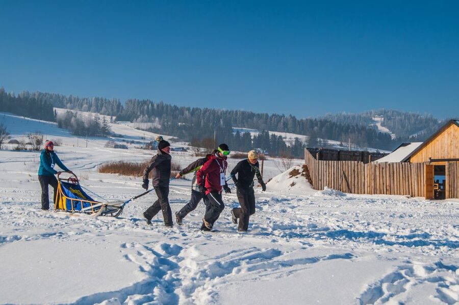 From Krakow: Dogsled Ride in Tatra Mountain - Who Should Book This Tour, and Who Might Want a Different Day
