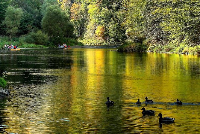 From Krakow: Dunajec River Rafting in Pieniny Mountains - Why Dunajec Gorge Rafting Fits So Well from Krakow