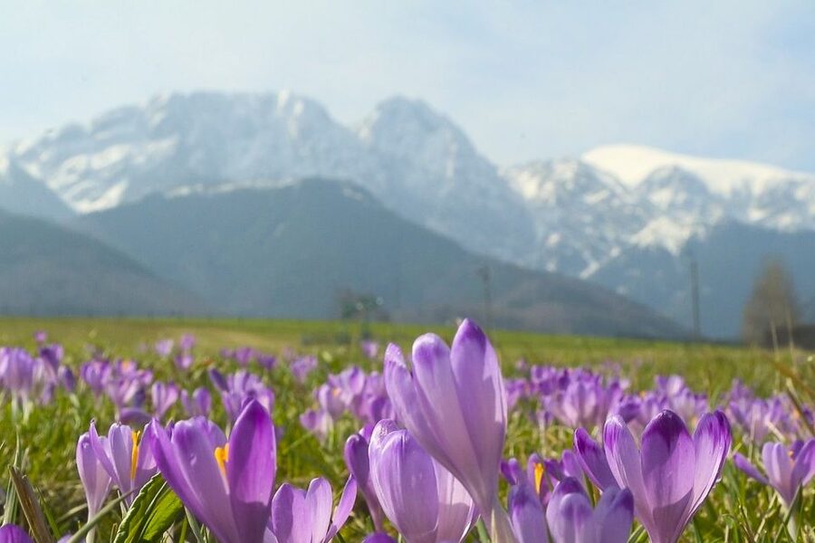 From Krakow: Full-Day Tour of Zakopane and Tatra Mountains - How long is it, and where does the day start in Krakow?