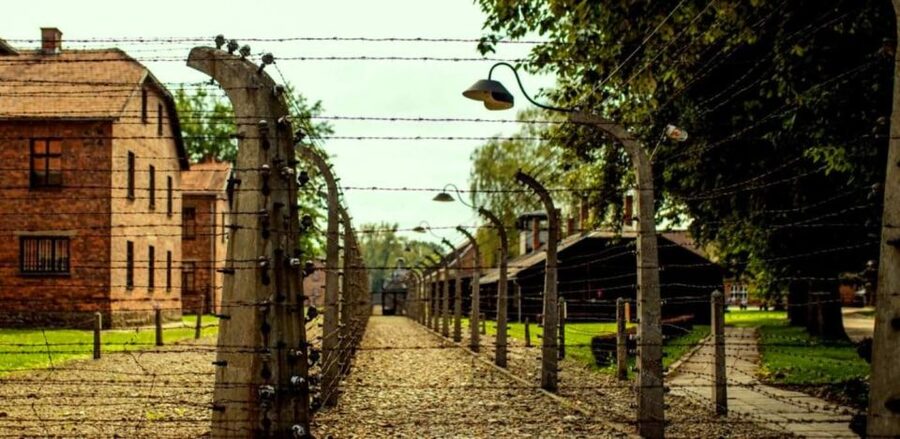 From Krakow: Guided Auschwitz-Birkenau Group Tour by Minivan - Key points worth knowing before you book