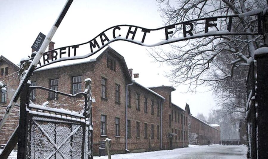 From Krakow: Guided Auschwitz-Birkenau Group Tour by Minivan - Should you book the Auschwitz-Birkenau guided minivan tour from Krakow?