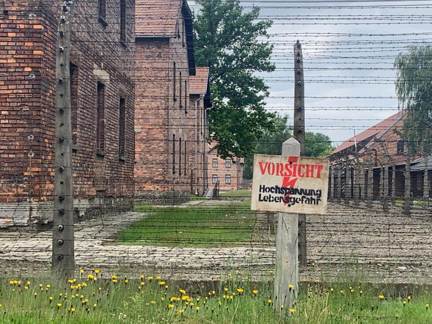 From Krakow: Guided Auschwitz-Birkenau Group Tour by Minivan - Auschwitz II-Birkenau: seeing scale, not just stories