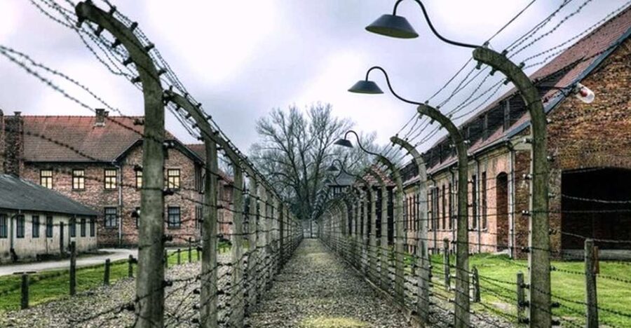From Krakow: Guided Auschwitz-Birkenau Group Tour by Minivan - Transportation, group size, and what to expect from the van