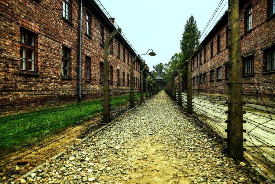 From Krakow: Guided Auschwitz-Birkenau Group Tour by Minivan - Skip-the-line entry and the rules that shape your visit