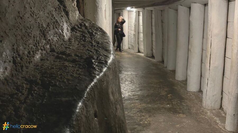 From Krakow: Guided Tour in Wieliczka Salt Mine - Who should book this day trip, and who should skip it