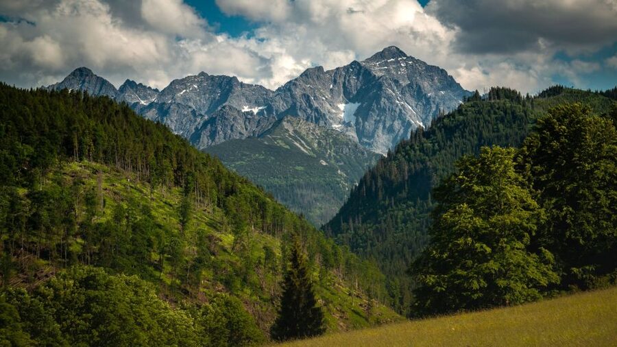From Krakow: Hot Springs and Zakopane with Gubałówka - Bacówka and smoked sheep’s cheese, the Tatra food lesson