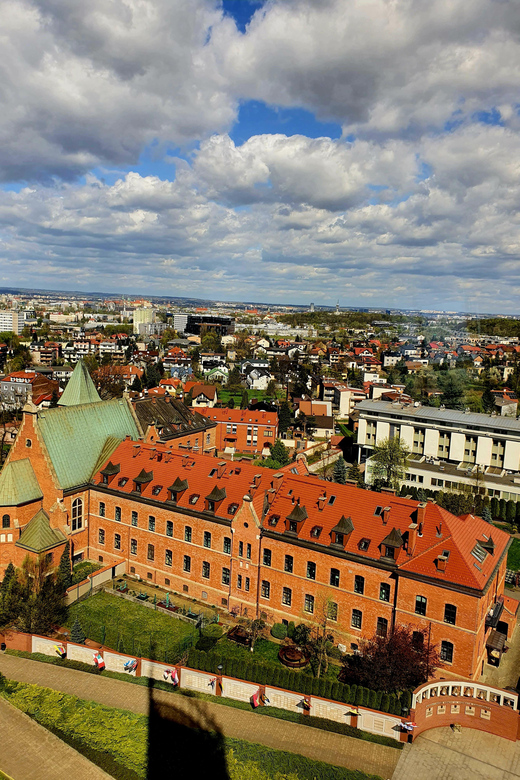 From Krakow: Lagiewniki Sanctuary of The Divine Mercy Tour - Observation Tower: why this first stop helps you understand the area