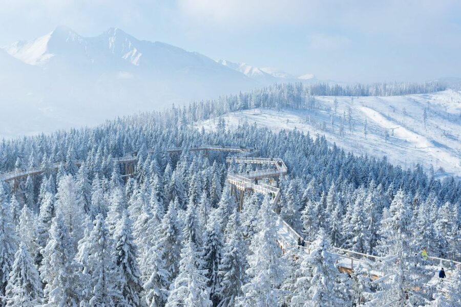 From Krakow: Morskie Oko and Slovakia Treetop Walk - Morskie Oko Lake: the classic Tatra hike, about 2 to 2.5 hours each way