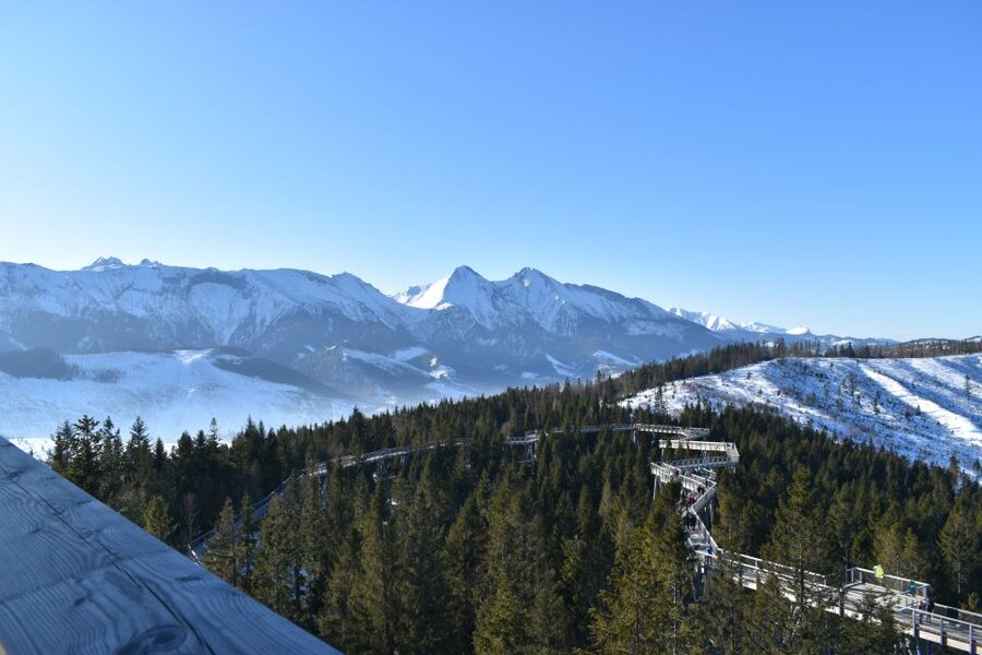 From Krakow: Morskie Oko and Slovakia Treetop Walk - Bachledova Valley Treetop Walk: 30 to 40 minutes up, 2,000 feet of bridge