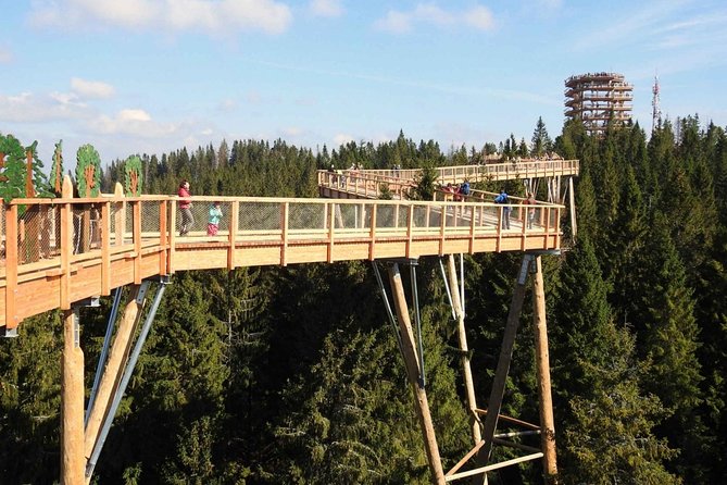 From Krakow: Morskie Oko in the Tatra Mountains and Slovakia Treetop Walk - From Krakow to the High Tatras, how the day is paced
