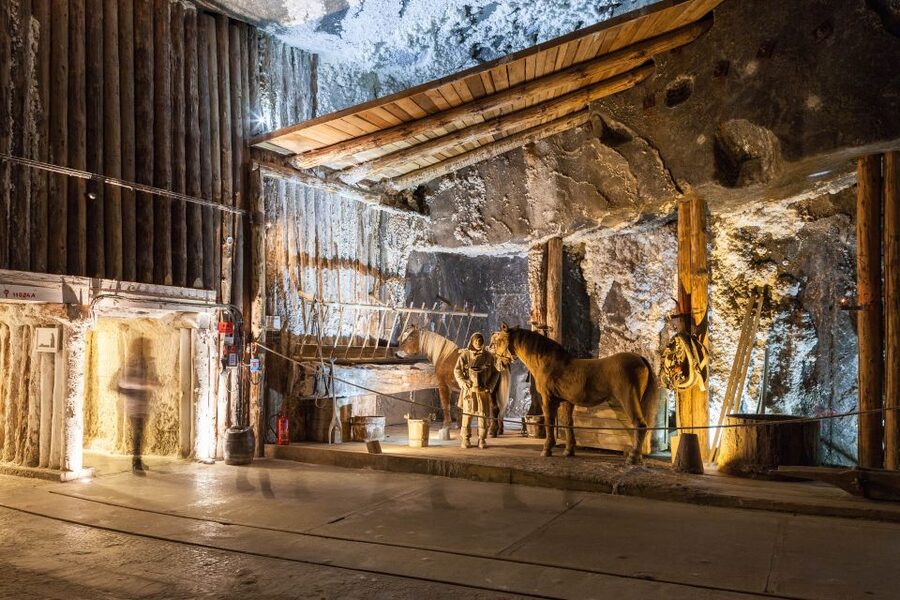 From Krakow: Private Wieliczka Salt Mine Tour - The Descent: 64 M of Stairs and a Guided Safety Brief