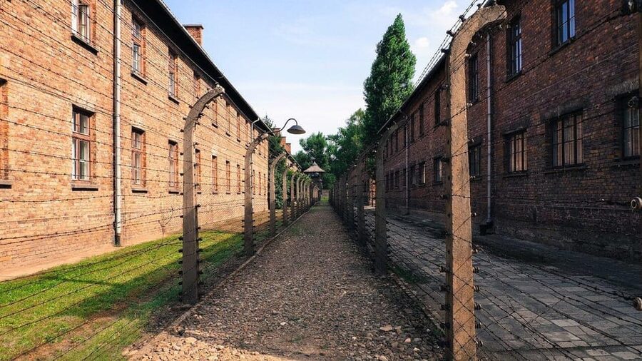 From Krakow: Roundtrip Transportation to Auschwitz Birkenau - Why this Krakow to Auschwitz transfer works better than trying to DIY