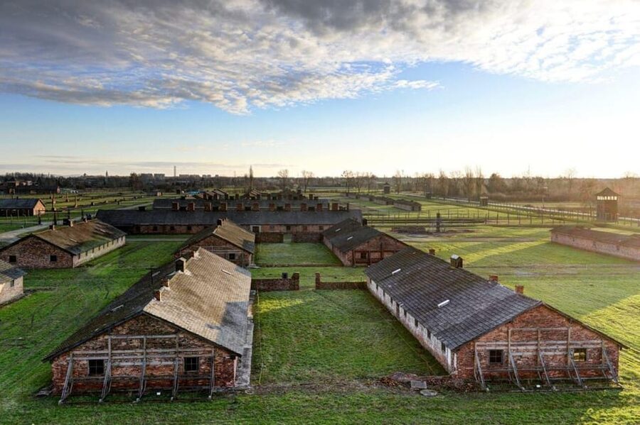 From Krakow: Roundtrip Transportation to Auschwitz Birkenau - Getting in: tickets, queues, and what the driver can do for you