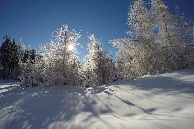 From Krakow: Siepraw Skiing for Beginners - Should You Book Beginner Skiing From Krakow to Siepraw?