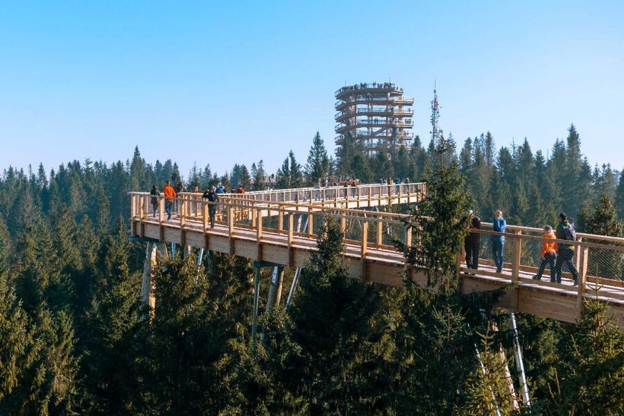 From Kraków: Slovakia Treetop Walk and Tour of Zakopane - Setting Off From Kraków, Then Straight Into Mountain Country