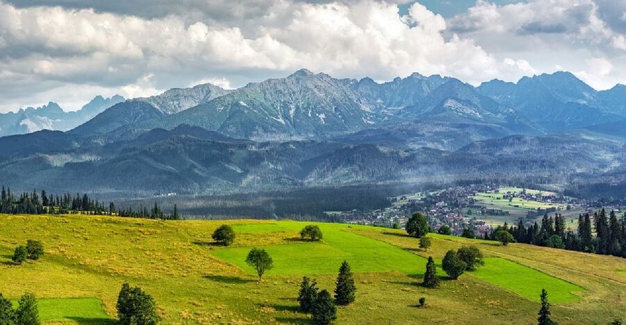 From Kraków: Slovakia Treetop Walk and Tour of Zakopane - The Wooden Deck Experience, What It Feels Like in Real Life