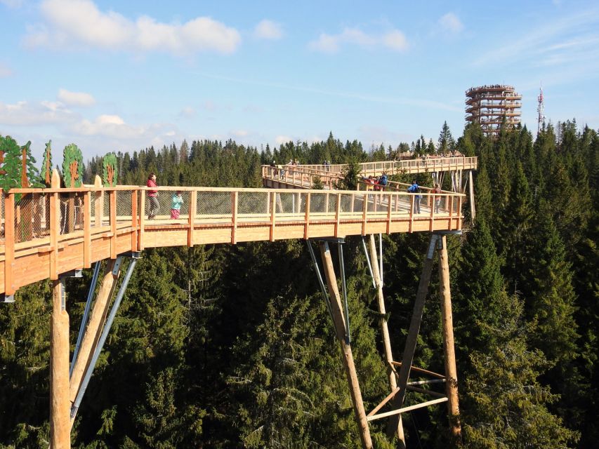 From Kraków: Slovakia Treetop Walk and Tour of Zakopane - Wildlife Clues Along the Way (Educational Plaques Help You Look Closer)