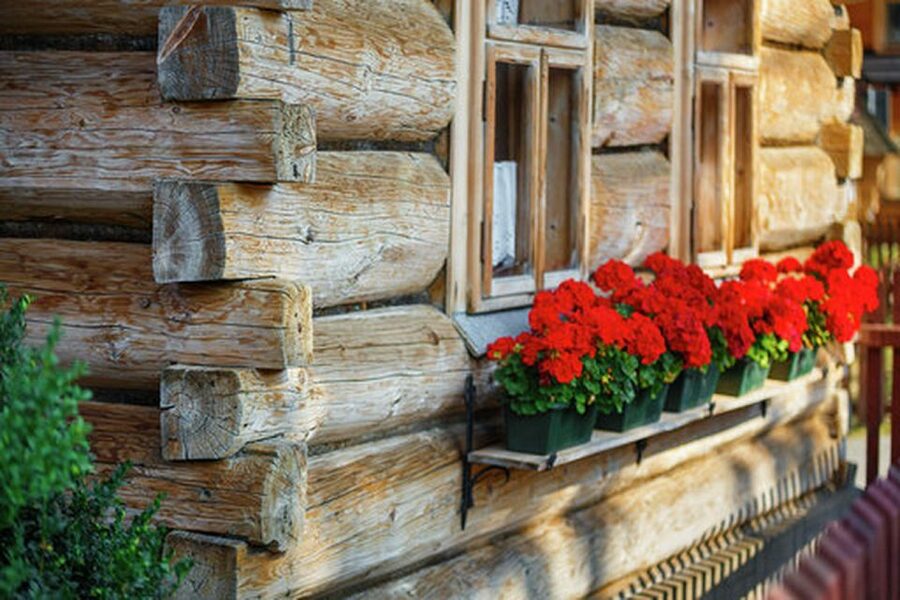 From Kraków: Slovakia Treetop Walk and Tour of Zakopane - Chocholow Village and Wooden Heritage Stops