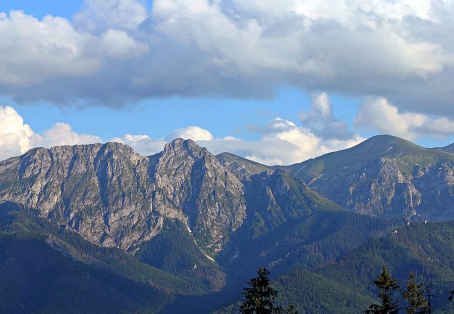 From Krakow: Slovakia Treetop Walk and Zakopane Tour - Who this Zakopane and treetops day trip suits best