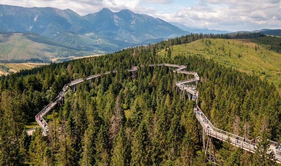 From Krakow: Slovakia Treetop Walk and Zakopane Tour - Bachledka treetop walk: 600 meters above the forest