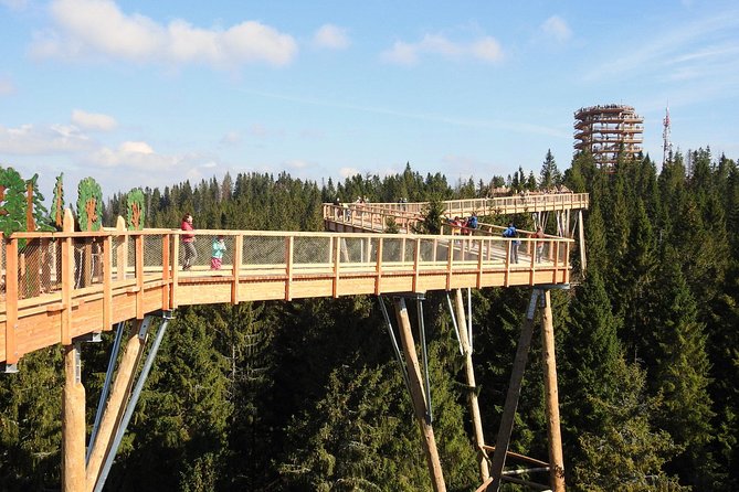 From Kraków: Slovakia Treetop Walk Bachledka and Zakopane - Why this Krakow day trip works: mountains plus mountain-town time