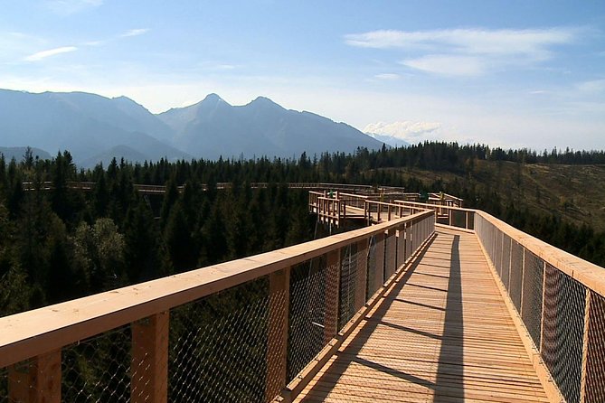 From Kraków: Slovakia Treetop Walk Bachledka and Zakopane - Wooden boards at 18 to 24 metres: the trail, the platform, and the slide choice