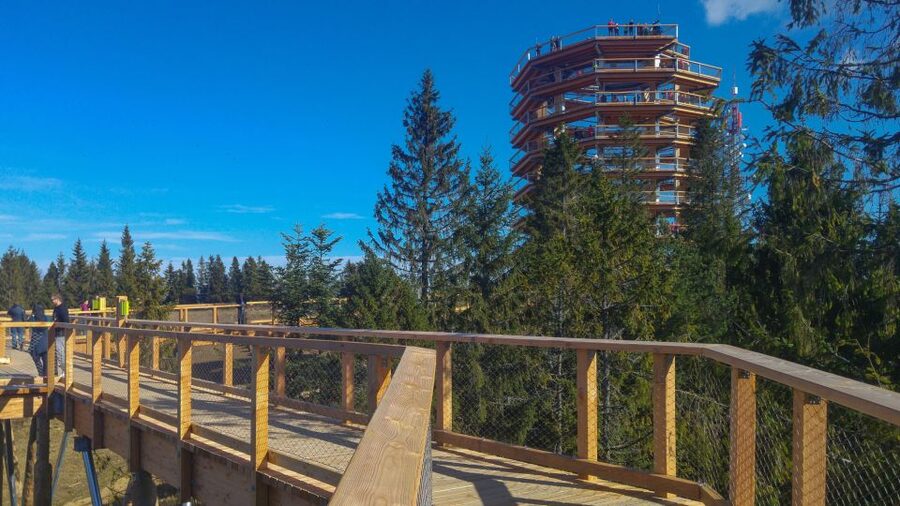 From Krakow: Slovakia Treetop Walk, Zakopane & Thermal Spa - Treetop Walk Bachledka: the viewpoint portion that makes the whole trip