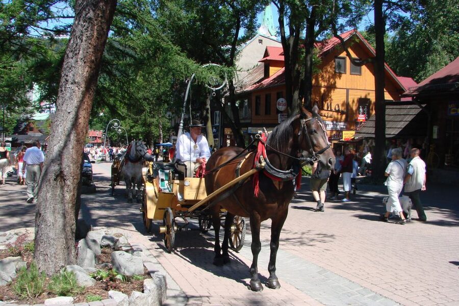 From Krakow: Slovakia Treetop Walk, Zakopane & Thermal Spa - The road from Krakow, and why the bus ride matters