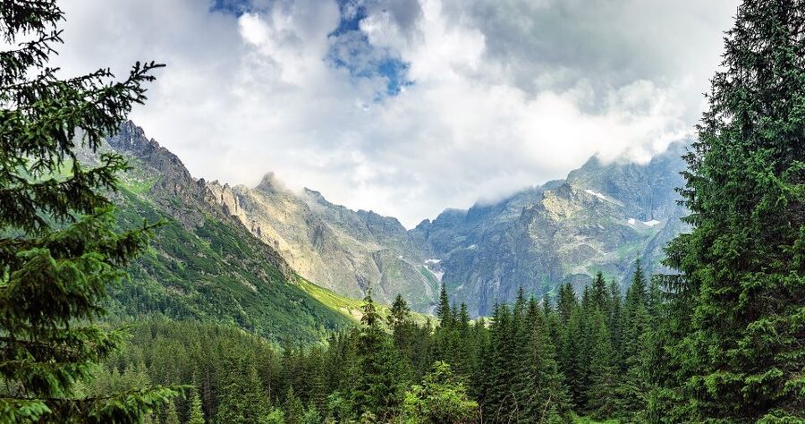 From Krakow: Tatra Mountains and Morskie Oko Hike - Food, Water, and the Cash-Plan You’ll Be Glad You Made