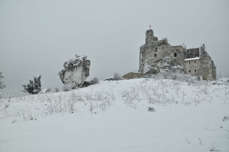 From Krakow: Trail of the Eagles’ Nests Day Tour - Price and Value: Where the $221 Makes Sense