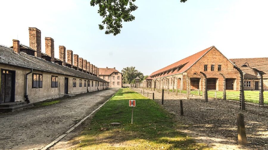 From Krakow: Wieliczka Salt Mine & Auschwitz Guided Trip - Price and Logistics: what you’re really paying for