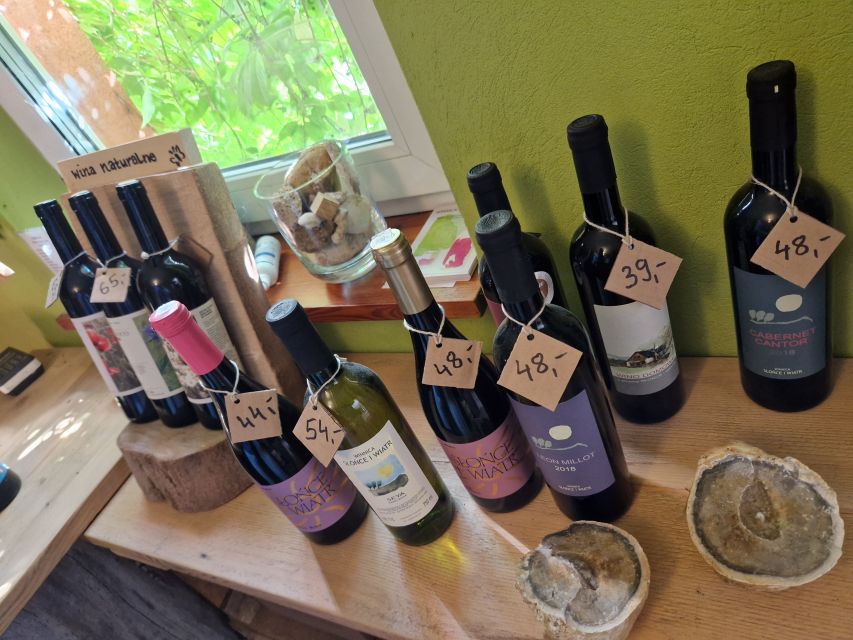 From Krakow: Wine Tasting at Vineyard - Key things to know before you go