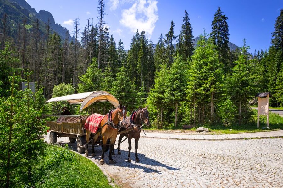 From Krakow: Zakopane and Gubałówka Cable Car Private Tour - Key things to know before you go